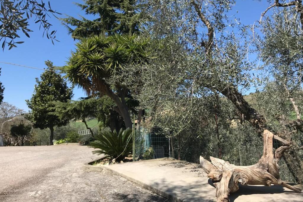 شقة Casa Lu Monaco Tranquillita A Due Passi Dal Mare بورتو دي أسكولي المظهر الخارجي الصورة